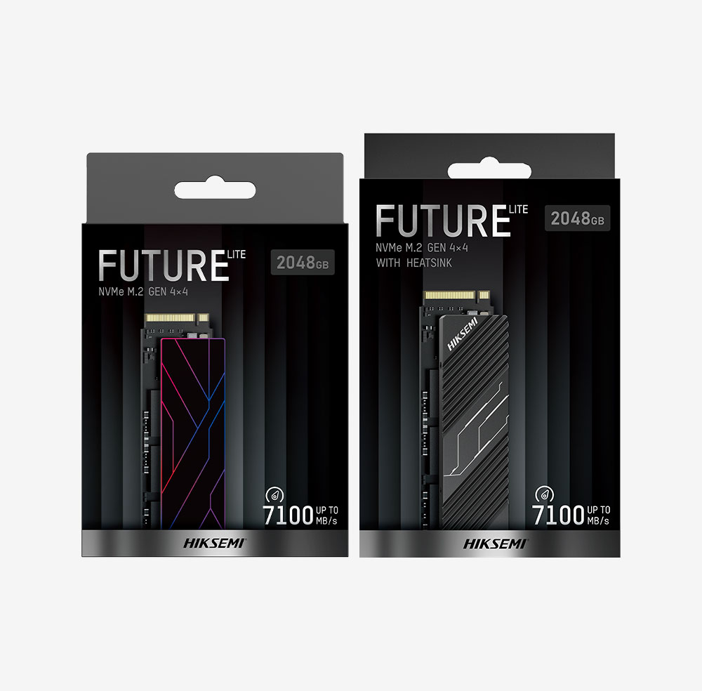 Hikvision/Hiksemi FutureX LITE(STD) 4096GB SSD PCIE4 Gen 4*4