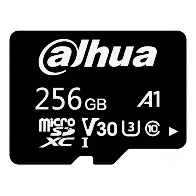 DHI-TF-L100-256GB