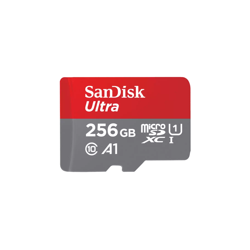 SanDisk Ultra GO 256GB microSDXC, UHS-I A1/V10, 190MB/s Read