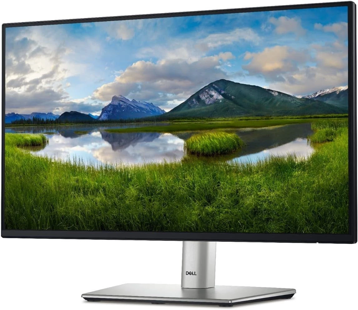 Dell Monitor P2422H Monitor-23.8″ Full HD 1920 1080 at 60 Hz