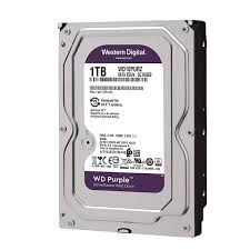 Western Digital Surveillance Hard Disk - 1TB-WD10PURPLE